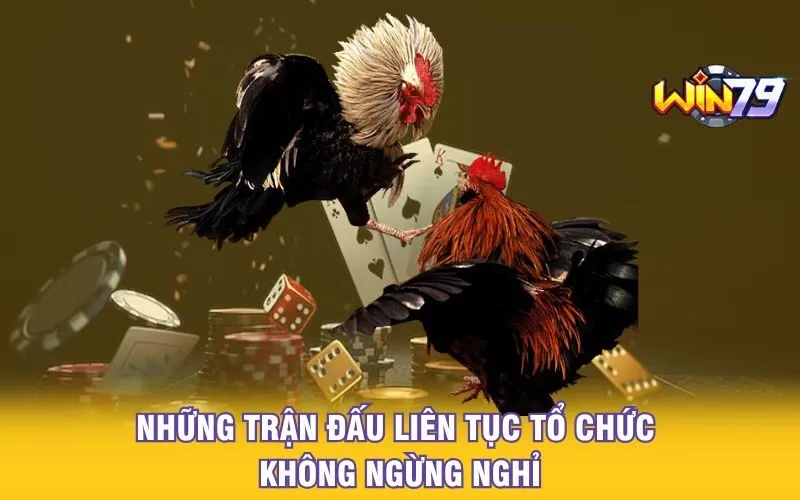 Những trận đấu không ngừng nghỉ