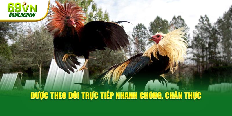 Được theo dõi trực tiếp nhanh chóng, chân thực